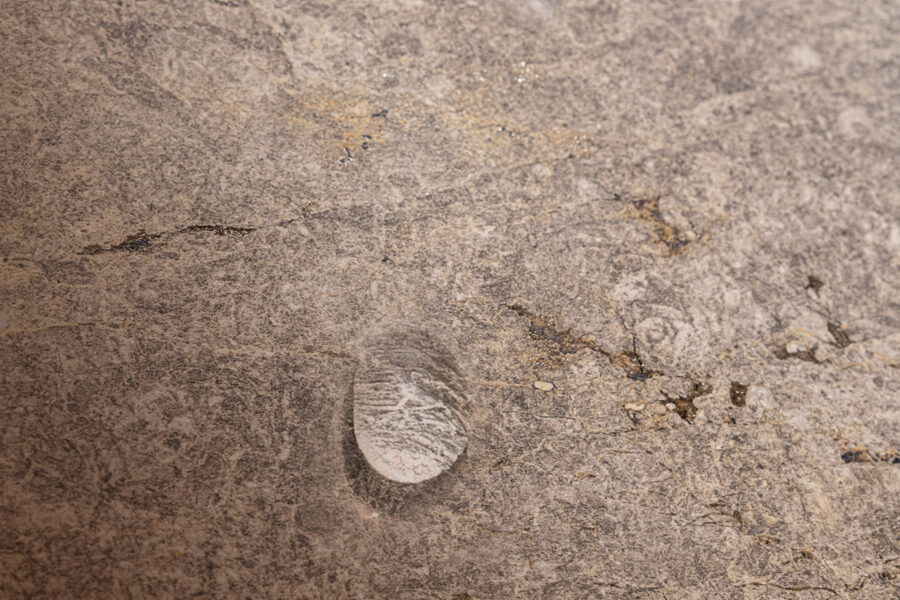 Goccia di colla su ceramica