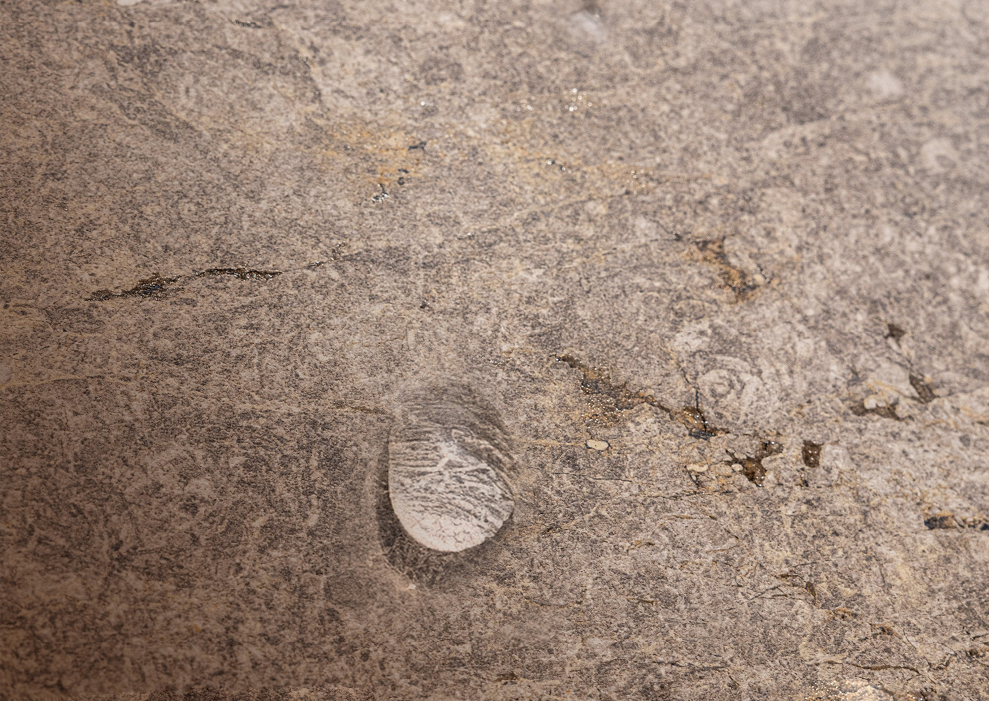 Goccia di colla su ceramica